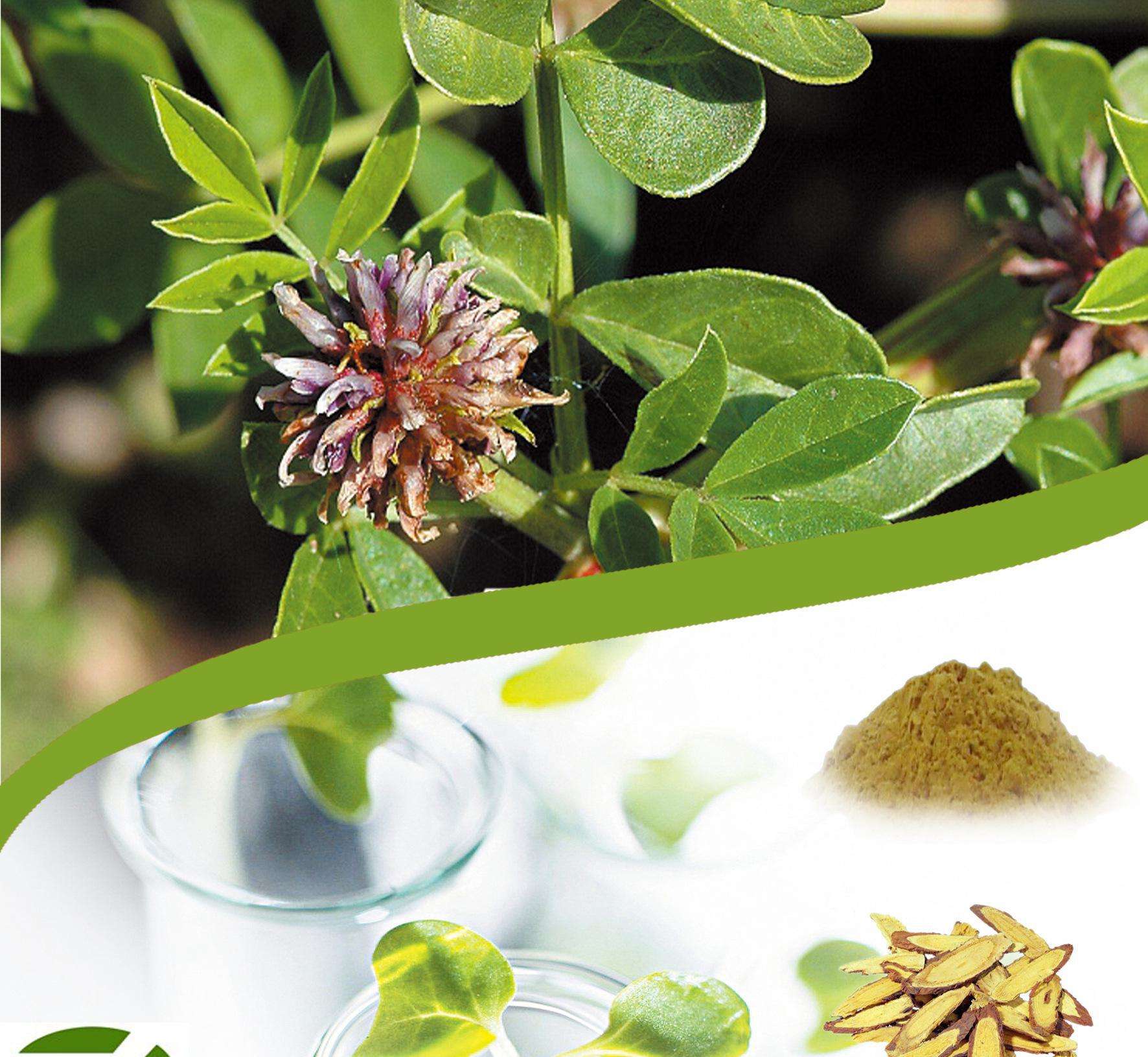 中医五脏调理用什么穴位,脏腑经络五行补泻疗法