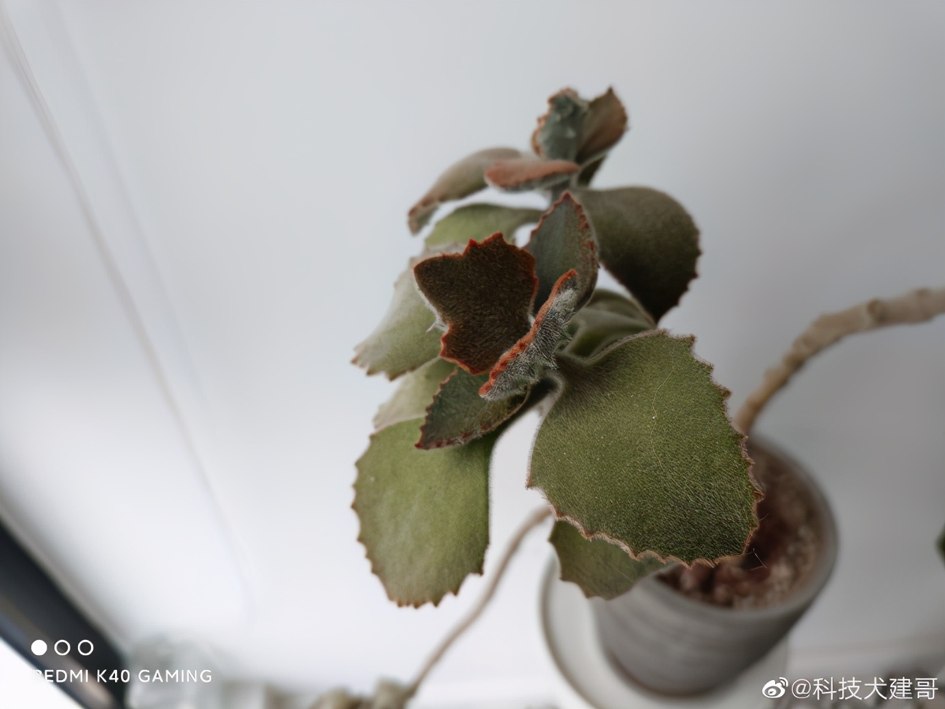 红米k40游戏增强版综合测评,红米k40游戏增强版整体测评