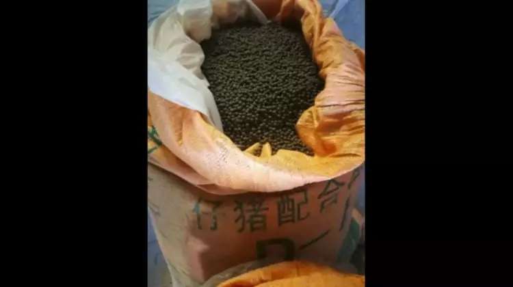 哮喘灵说明书,目前最好的哮喘中医秘方