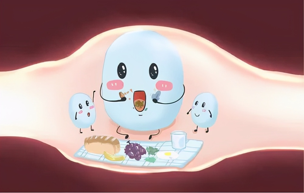 益生菌治发烧吗,发烧消炎药和益生菌先后顺序