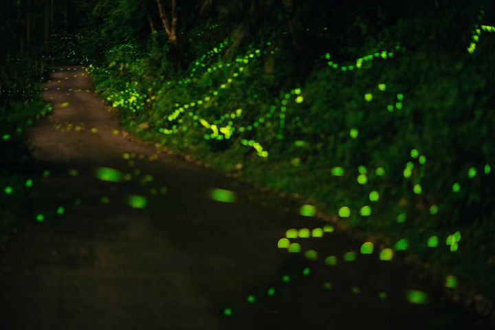 去台湾一定要去的地方,普通人去台湾攻略