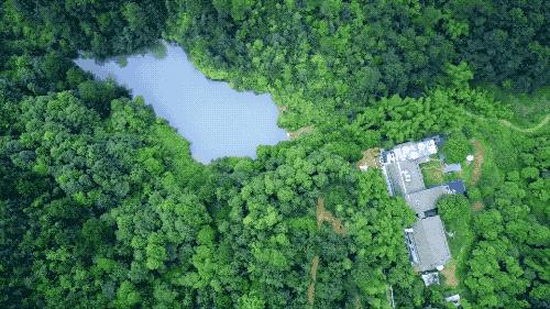 疫情解封后报复性消费的行业,疫情之后会出现消费狂潮么