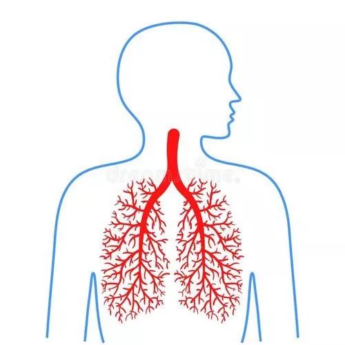 肠道菌群直接影响肠道健康,肠道菌群影响血糖吗