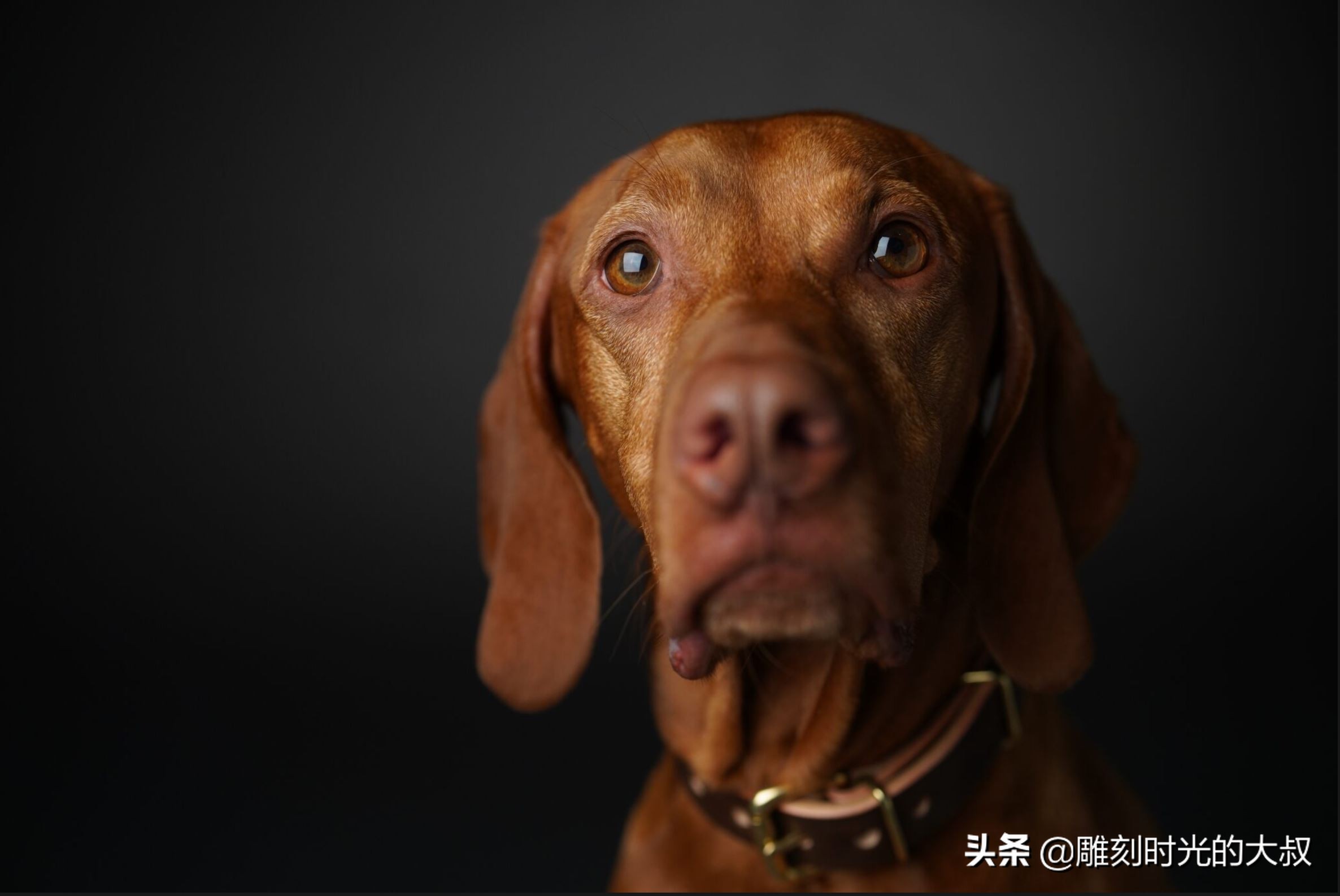 索尼a7iv测评,索尼a7iv机身参数