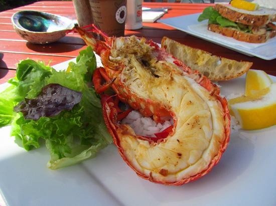 新西兰自由行攻略大全,当你想出去旅游时