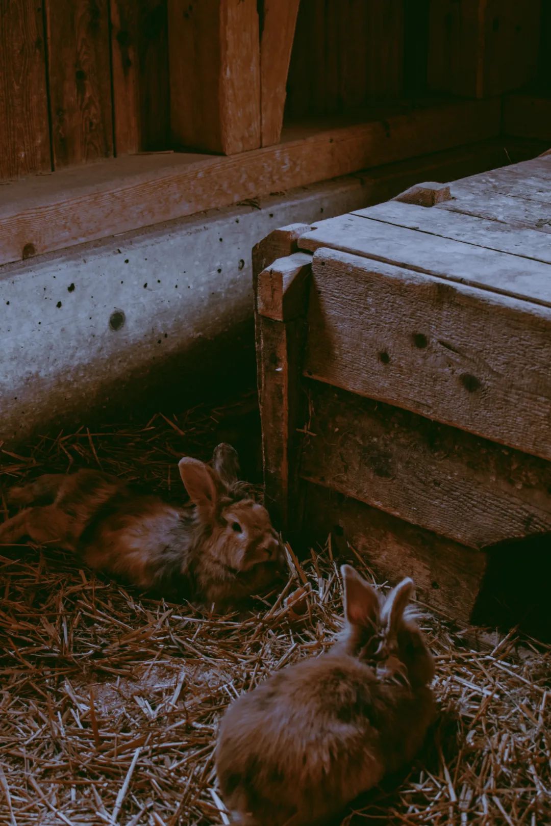 ins风暗黑小众照片,暗黑风ins图