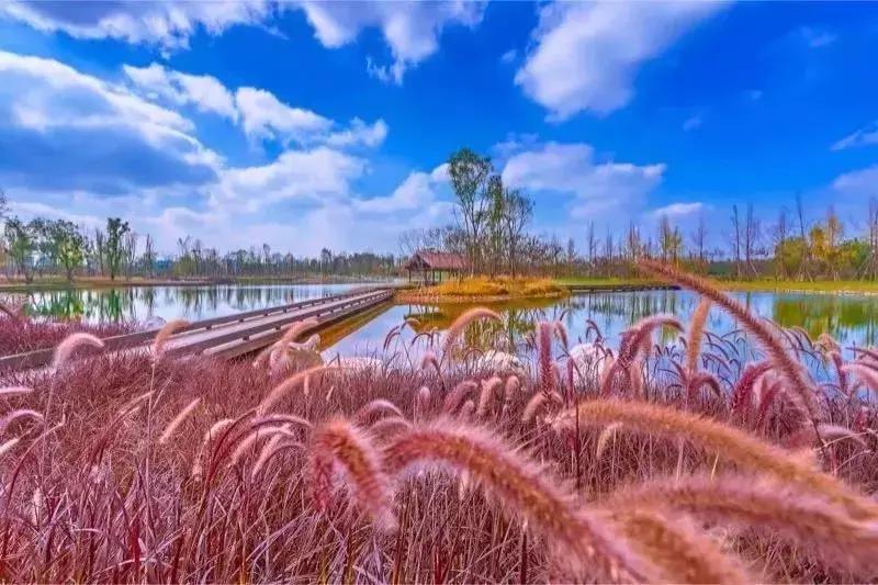 宛若美人卧成都,江家艺苑了解一下