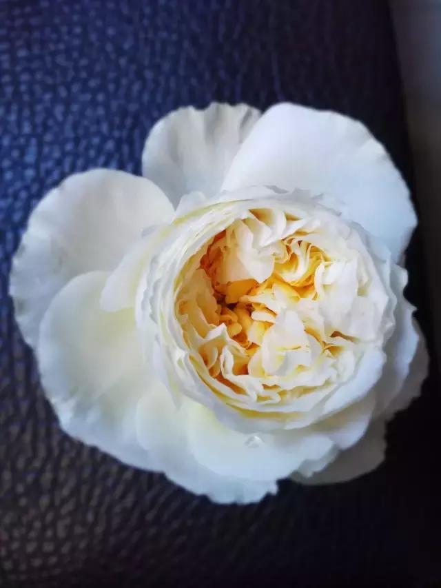 你的名字ost小姐姐,你的名字faded纯音乐版