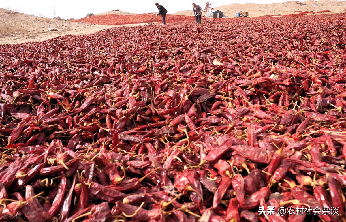 甘肃创造神话是什么梗,甘肃炎阳创造神话