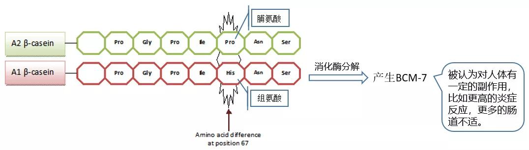 每日鲜语4.0鲜牛奶什么样子,每日鲜语鲜牛奶存在什么问题吗