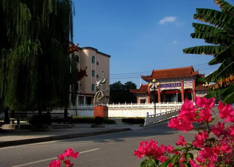 衡阳一中考清华北大有多少人,衡阳市历年清华北大录取名单