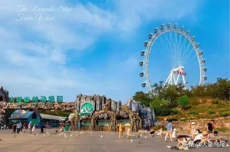 全部免费漫画下载,全部免费短视频app