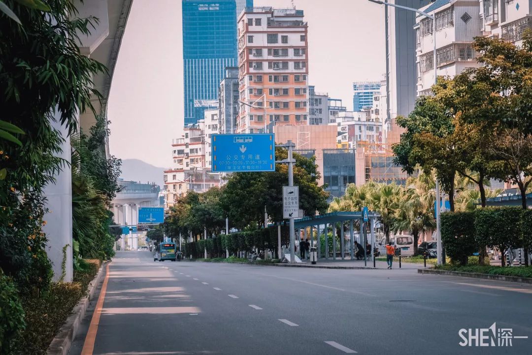 白石龙村，深圳“小延安”