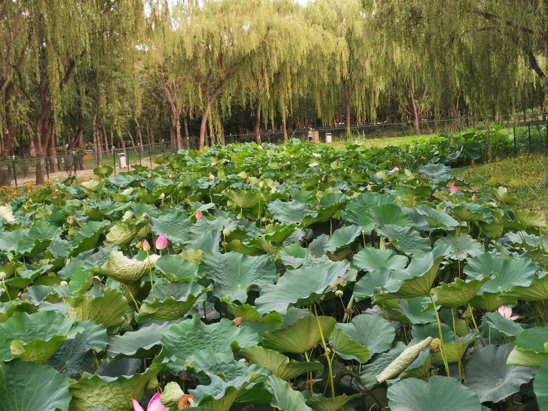 医学人文精神感悟,医学人文精神的表现