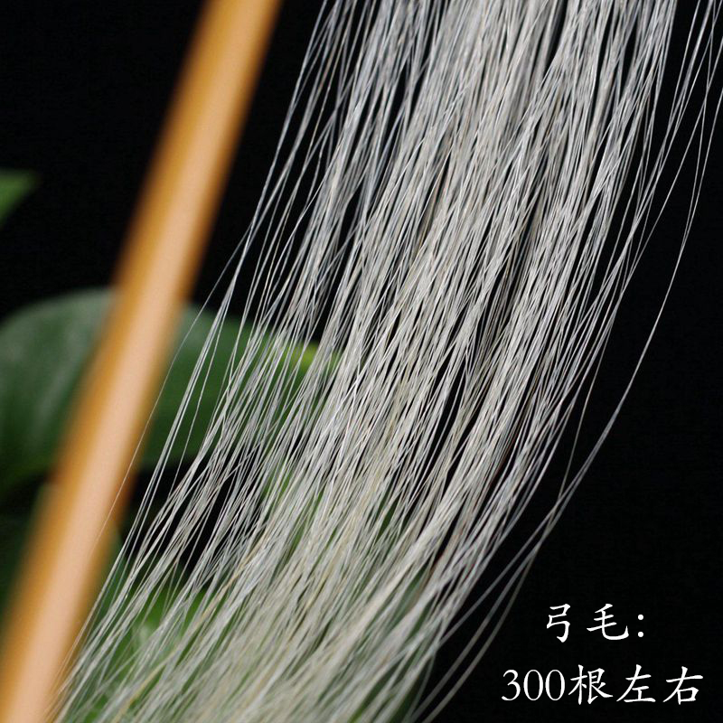 拉二胡时弓毛经常断是什么原因,二胡弓毛老是掉怎么办