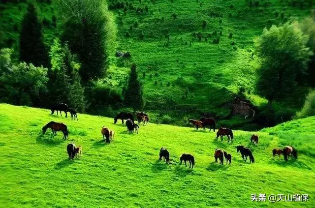 大美新疆百里画廊,北疆千里画廊打卡点