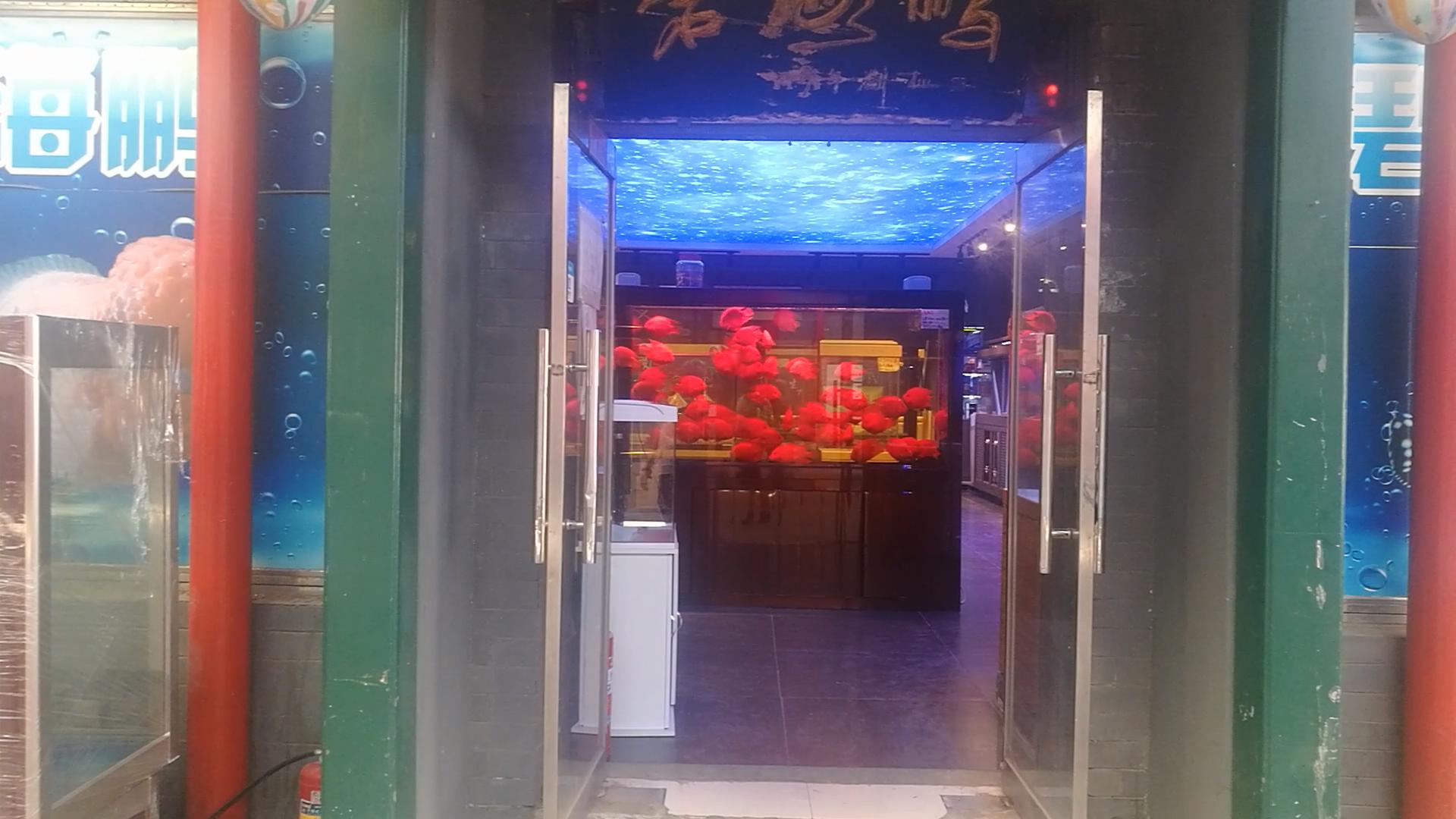 北京十里河鱼市,都说它拆了,我却看到了综合性的水族市场