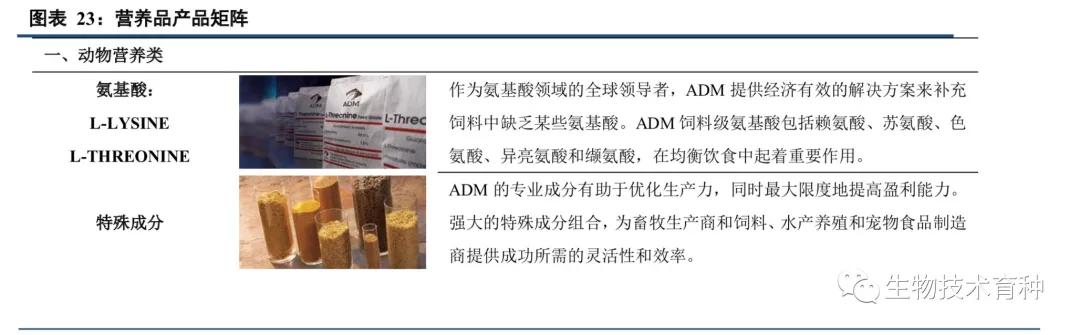 adm璺ㄥ浗绮晢,鍏ㄧ悆绮晢宸ㄥごadm