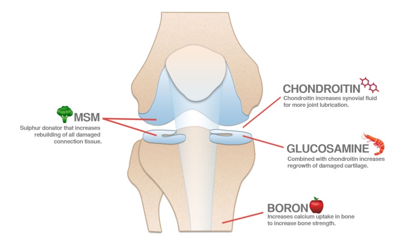 氨糖软骨素对骨关节好吗,关节炎吃氨糖和软骨素