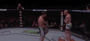 格斗明星的标准动作,格斗如何练抗打能力视频