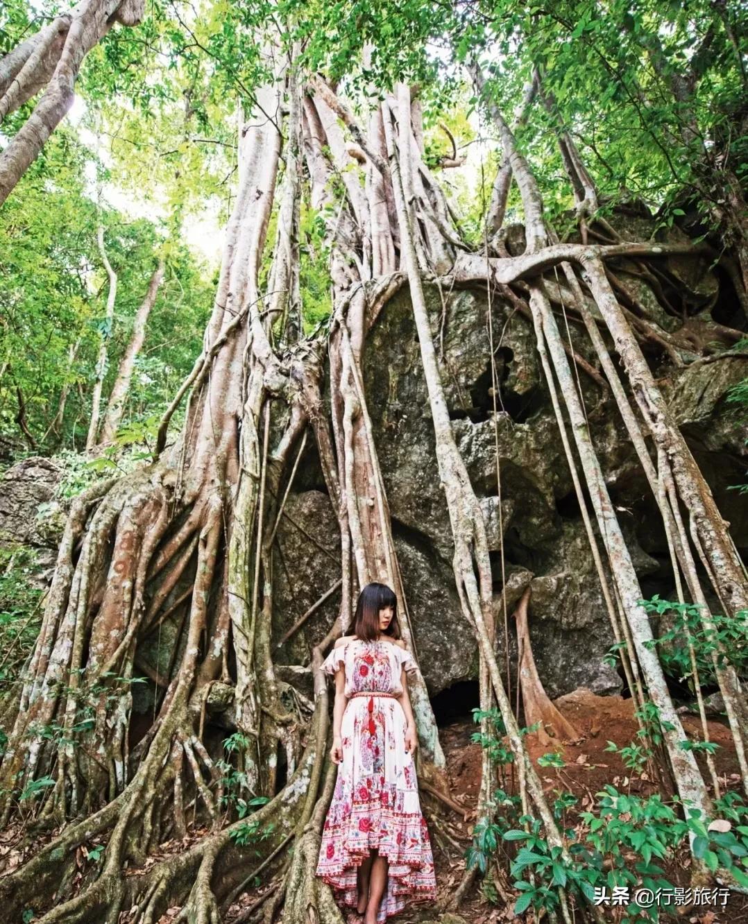 云南西双版纳地方介绍,云南西双版纳旅游简介
