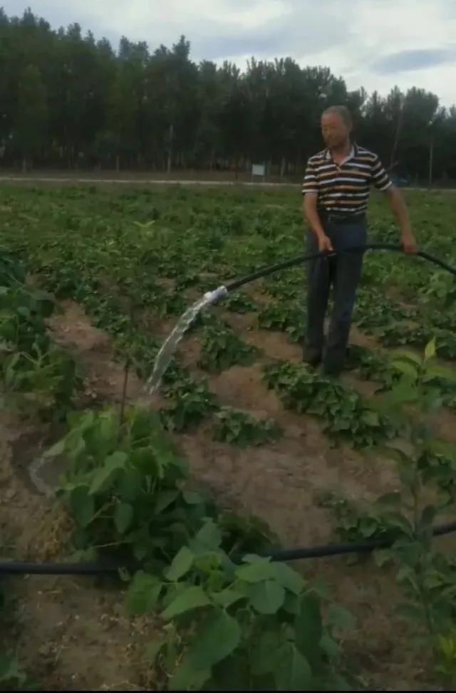 辽宁阜新退役士兵安置岗位,辽宁阜新退役士兵安置岗位有哪些