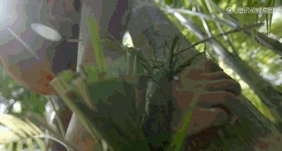 据说水果涨价,跟这剧的大火有点关系