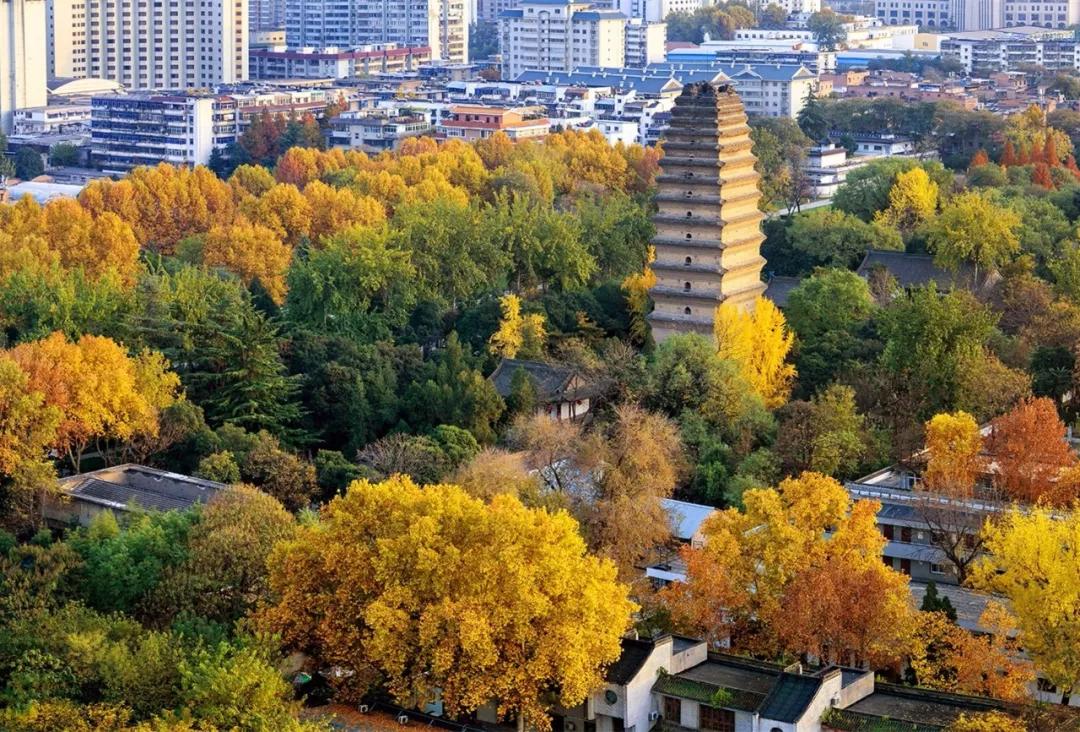 什么是形而上学,什么是西安旅游