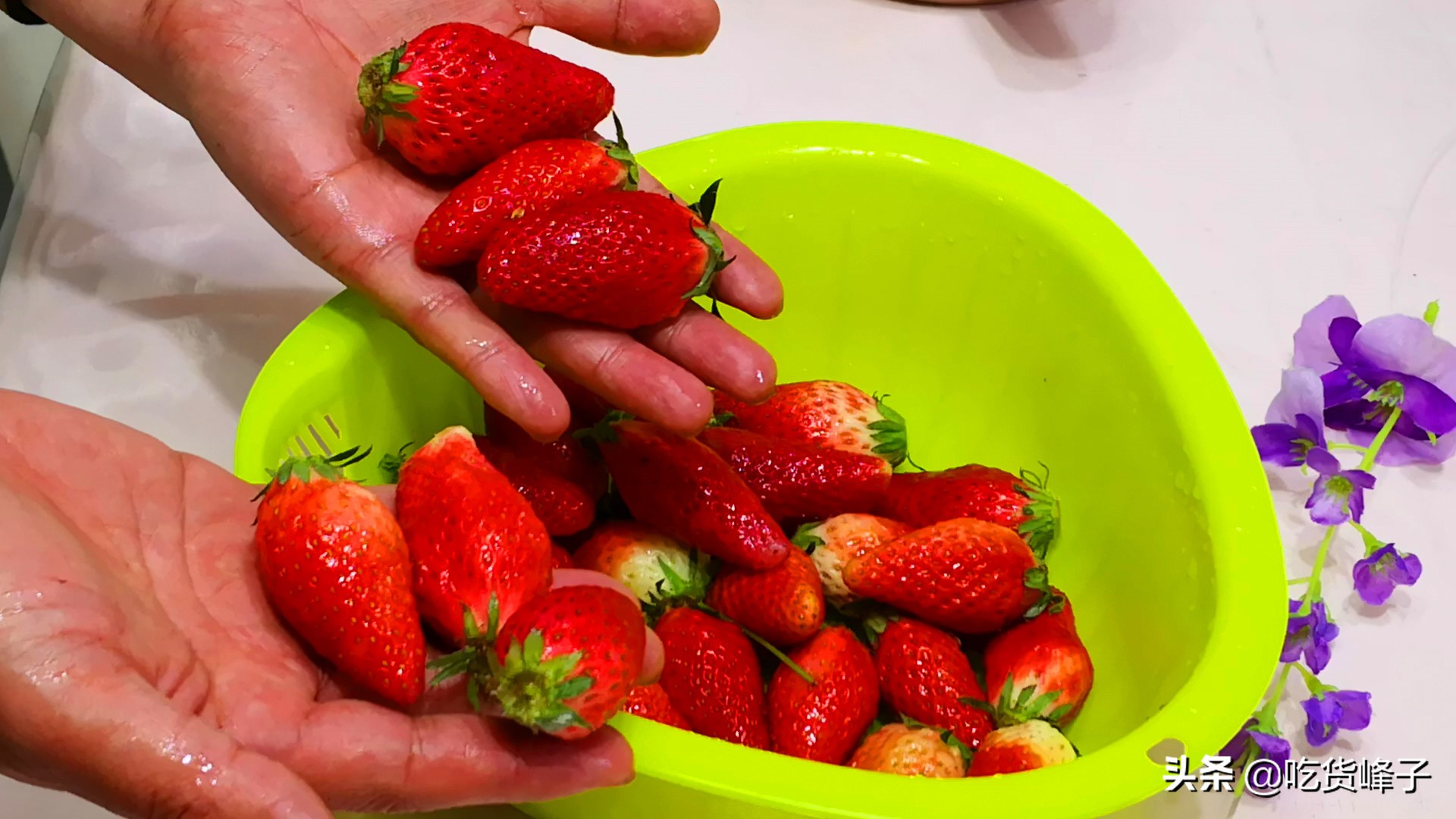 清洗草莓虫子,清洗草莓用面粉