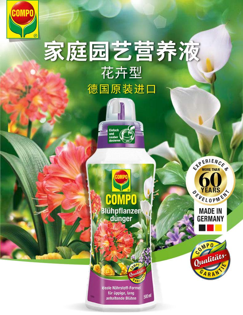 一棵就能爬满墙?这波操作服了