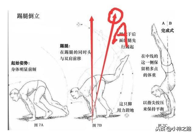 如何学会反向倒立,倒立离墙技巧方法讲解