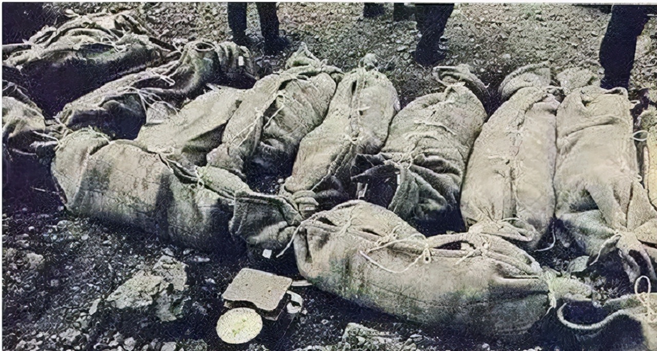 日航123空难事故调查,日航123号班机空难搜救