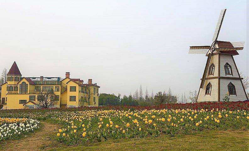 鹧鸪天-碧云花园十里水乡