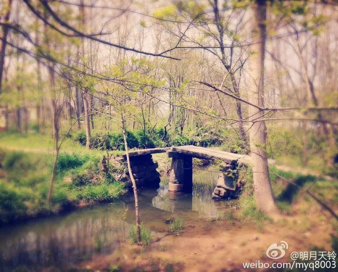 那些年你不能错过的rose的翻唱,那些年你不能错过的美食