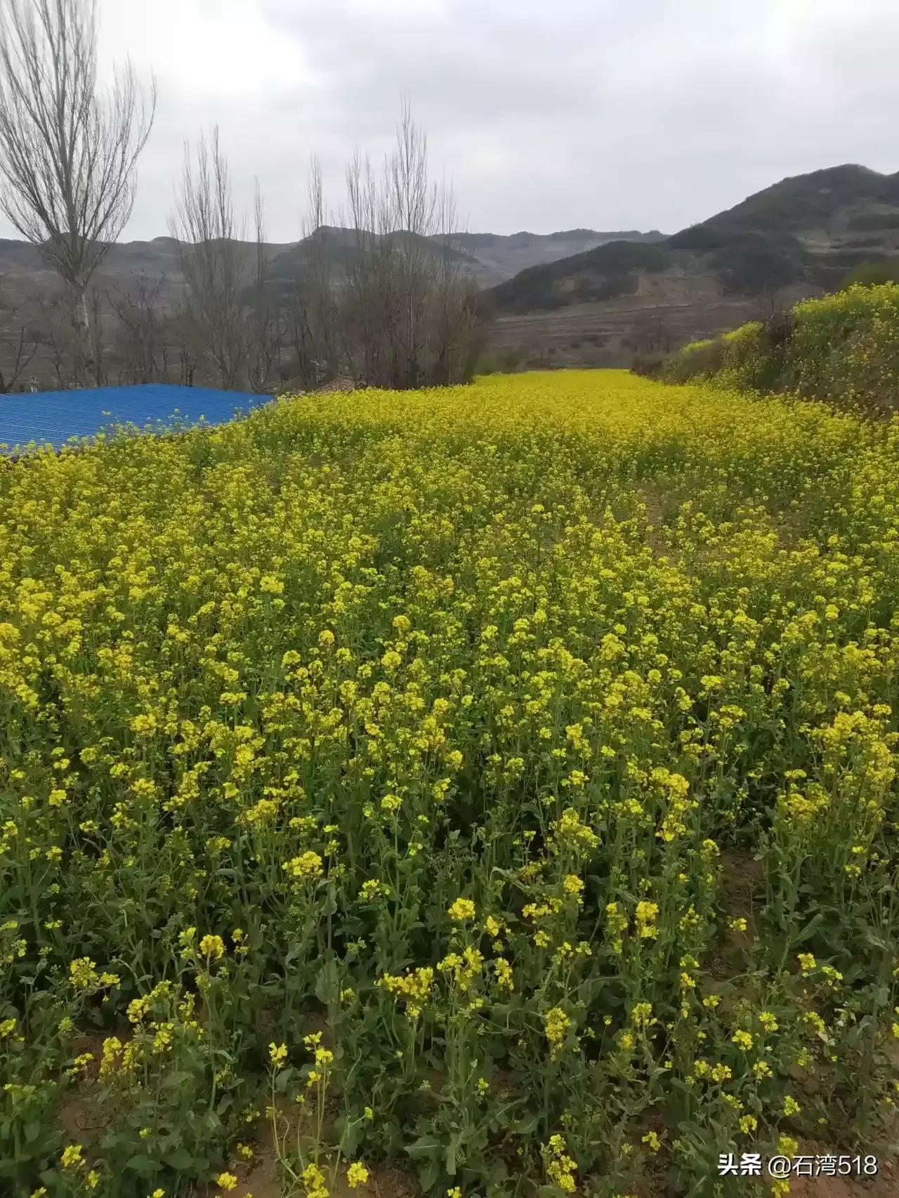 乡情散文/故乡的古井