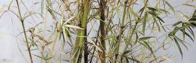 冷军和齐白石画螃蟹,冷军与齐白石画蜻蜓