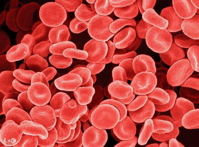 39岁女性献血有害健康吗,无偿献血会伤身吗