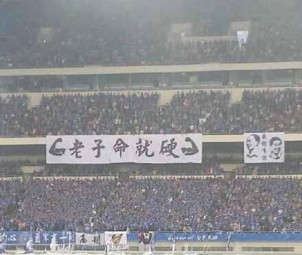 鲁能怎么样,鲁能地产实力怎么样