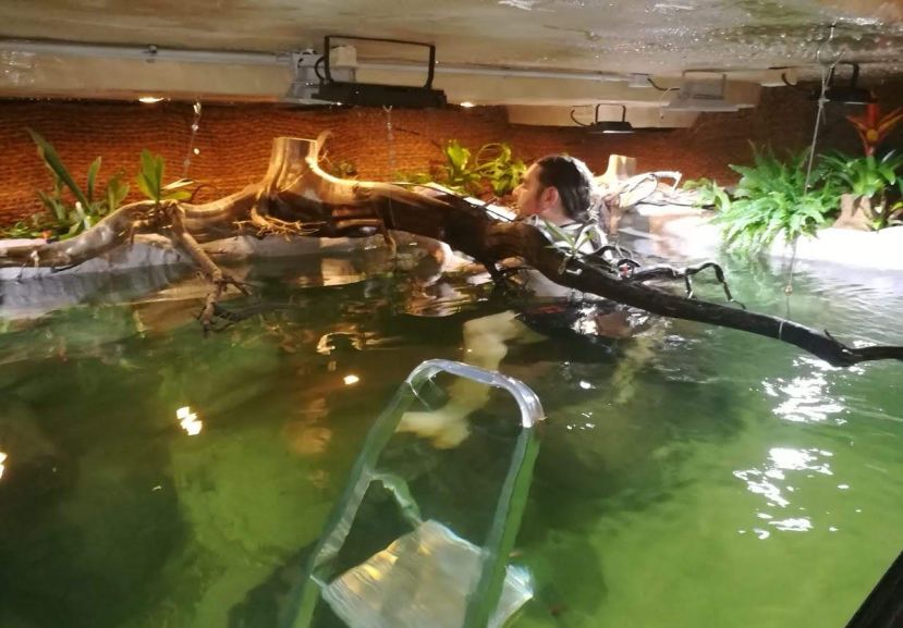 自己做大型水陆缸,在家自己打造一个沙漠缸