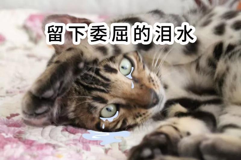 坐庄5年巨亏10亿炒股,股票坐庄骗局手法