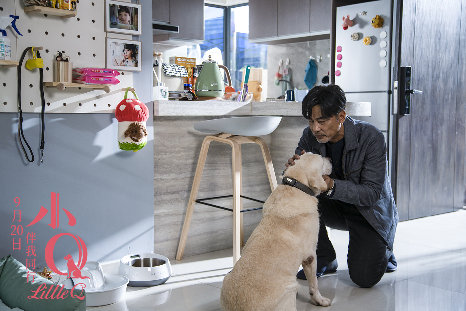 你有被人坚定的选择过吗原视频,你有被人坚定的选择过吗