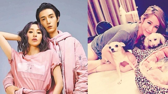 萧亚轩被狗咬伤脸部照片,萧亚轩被狗咬伤脸部怎么修复的