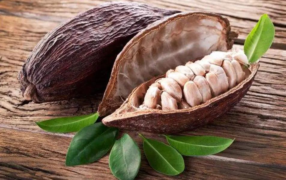 代言版《定位》01：品类的诞生