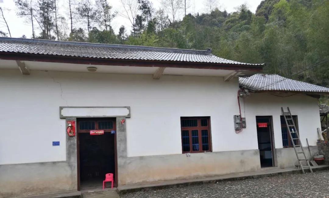 楂樺北鑼跺彾鍔╁姏鑴辫传瑙嗛,楂樺北鑼跺彾鍔╁姏鑴辫传