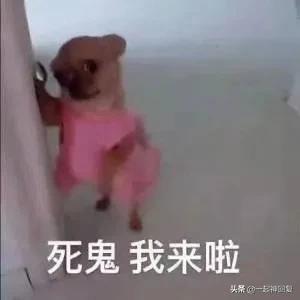 cctv7下午播出致富经,cctv致富经里的都是真实的故事吗