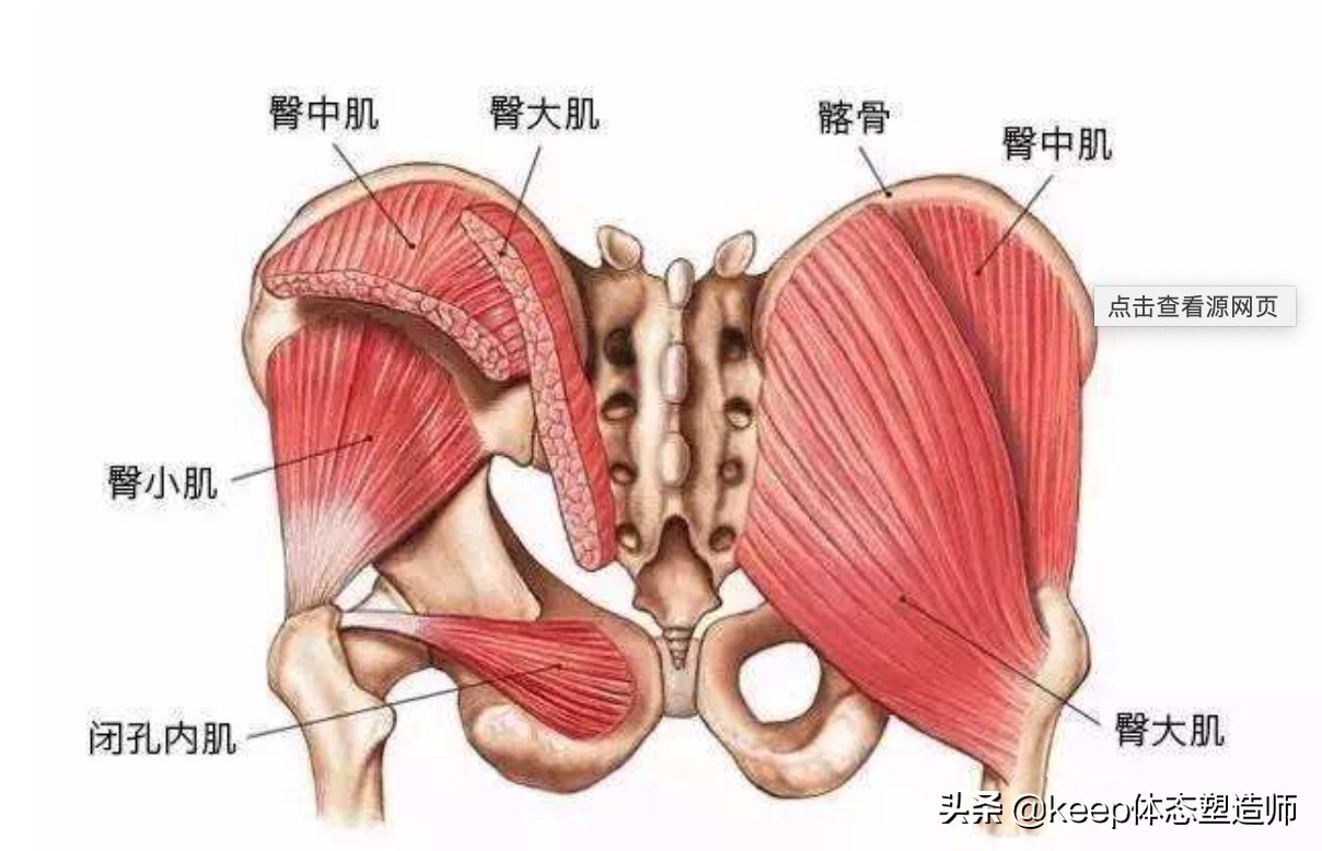 如何快速改善臀下垂,臀肌肉内凹的瑜伽动作