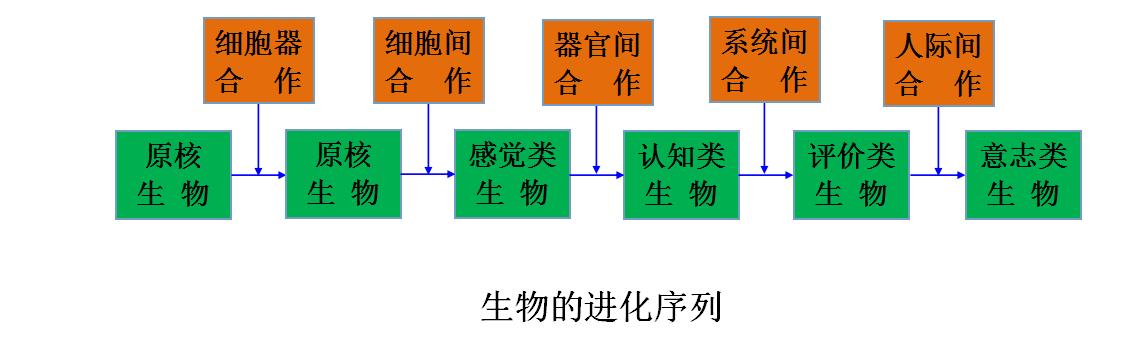 生物进化论深度解析,生物进化论的发展趋势及现状