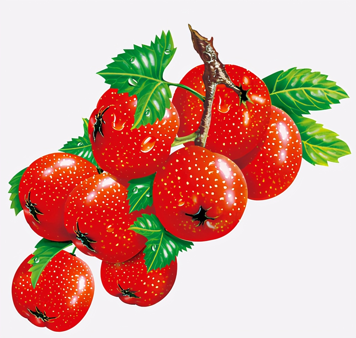 怀孕期间忌嘴的食物,怀孕期间吃东西有忌口吗