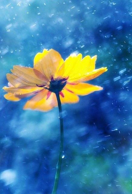 回忆自己成长的点点滴滴日记,关于第一次成长的心情日记