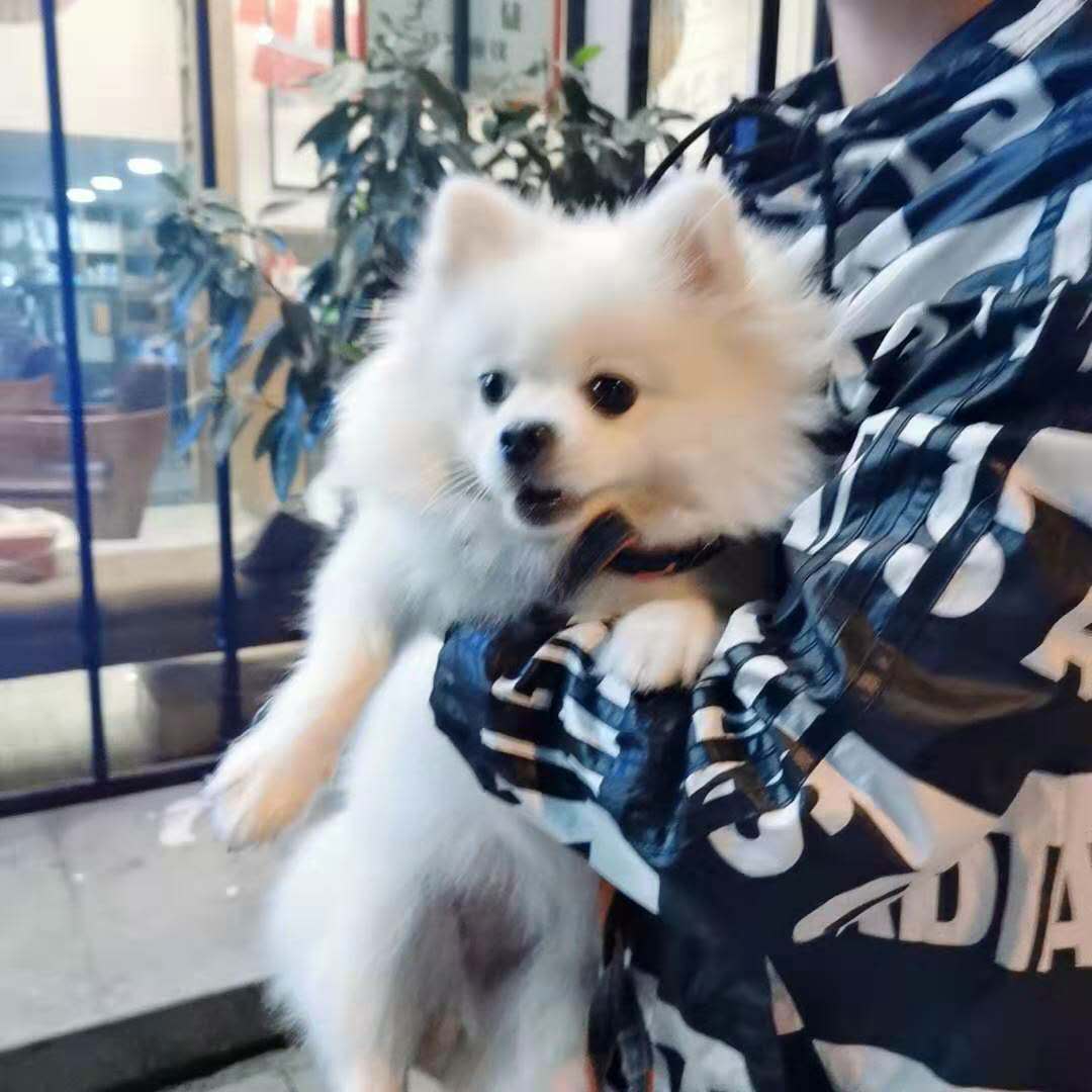 宜家50种装修方法,刚入坑的全屋定制设计